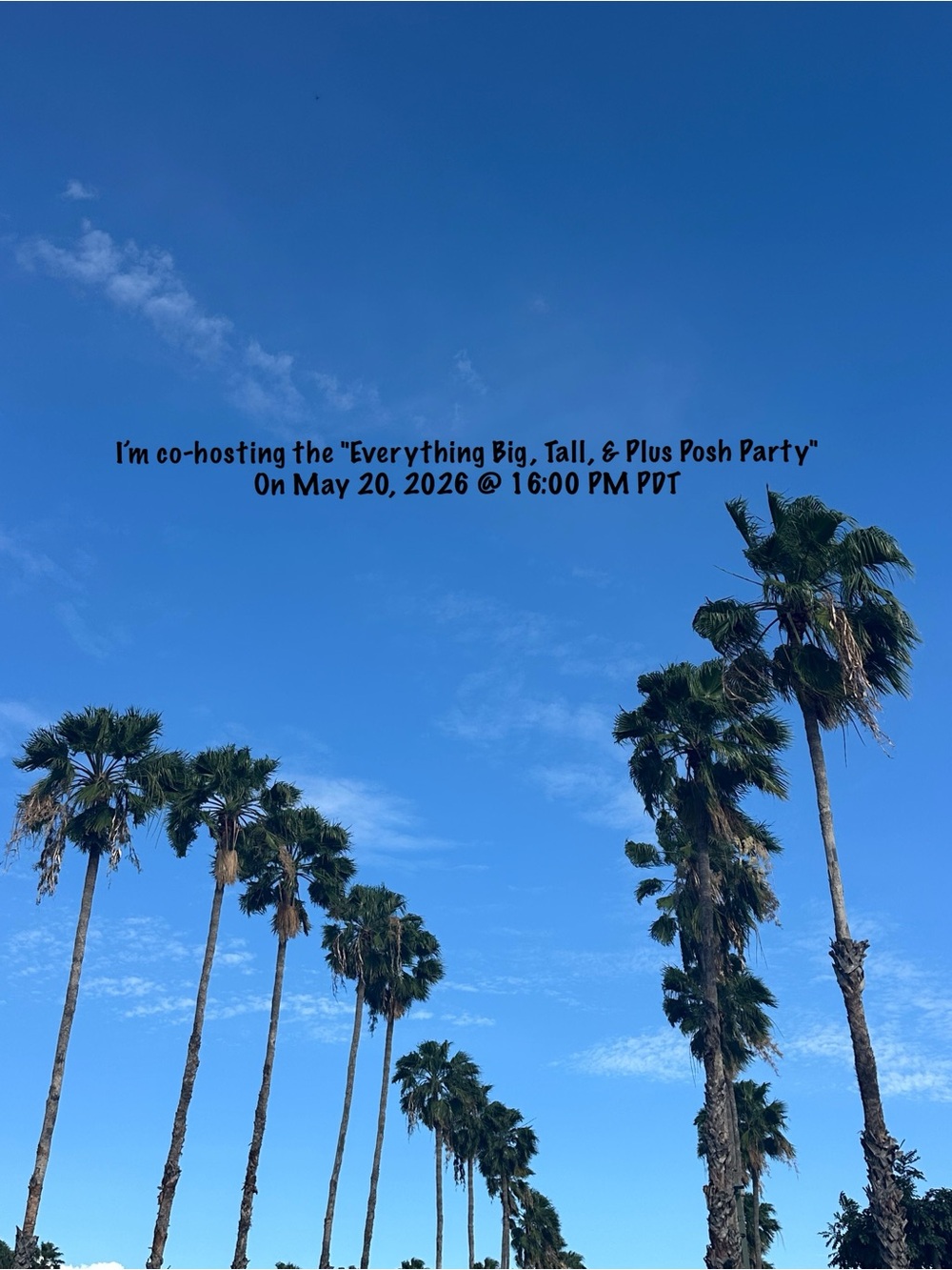 Iโm co-hosting the "Everything Big, Tall, & Plus Posh Party" on May 20, 2026 - Picture 1 of 1